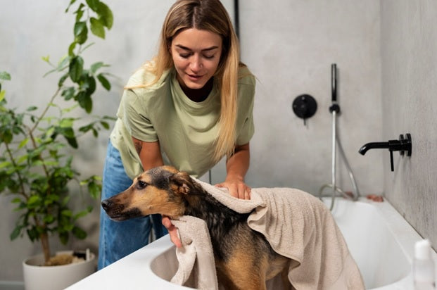 Can A Water Filter for Showers Benefit Your Furry Friends?